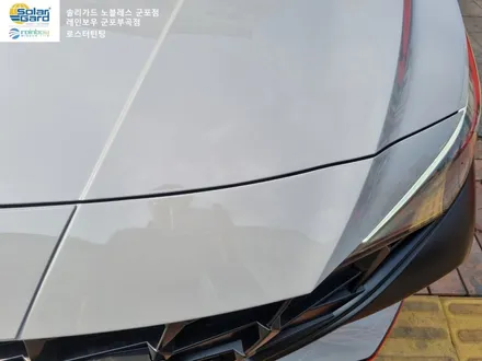 [CN7아반떼 N] 군포썬팅 신차검수부터 블랙박스 ppf 작업 현장