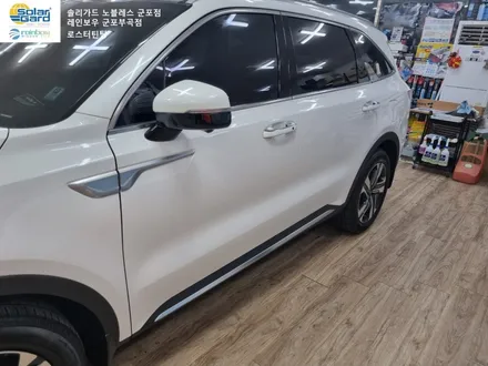 MQ4쏘렌토 하이브리드 안양 썬팅 신차검수 블랙박스 ppf 유리막코팅