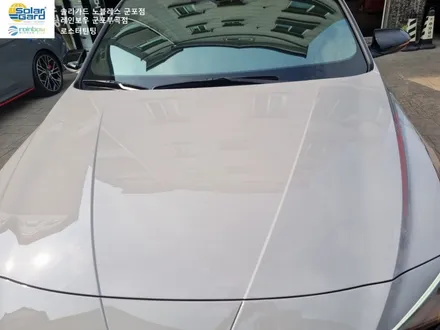 [CN7아반떼 N] 군포썬팅 신차검수부터 블랙박스 ppf 작업 현장