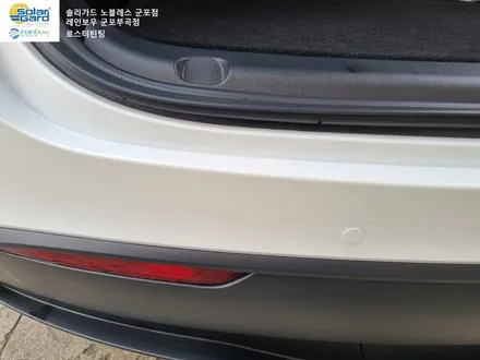 [테슬라 모델Y] 안양 군포의왕 테슬라 차량 썬팅, PPF보호필름 전문시공가능