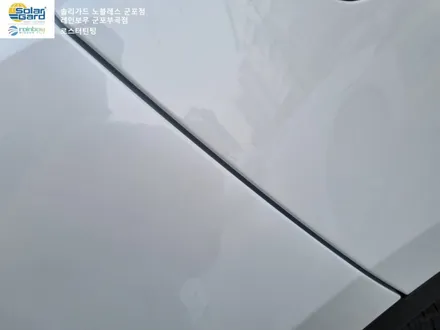 [테슬라 모델Y] 안양 군포의왕 테슬라 차량 썬팅, PPF보호필름 전문시공가능