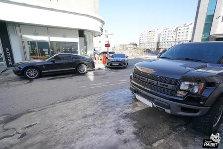 포드 F150 랩터와 리미티드 두 괴물 픽업트럭♪ / 충남 천안