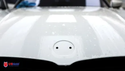 bmw 3시리즈 320i 유쉴드 바이올렛 썬팅 / 충남 천안