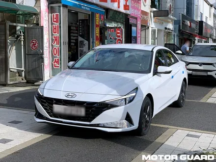 아반떼 CN7 폴라화이트 대전 신차검수,신차패키지 한 번에 해결한 올인원 패키지 시공후기! / 동구 가양동