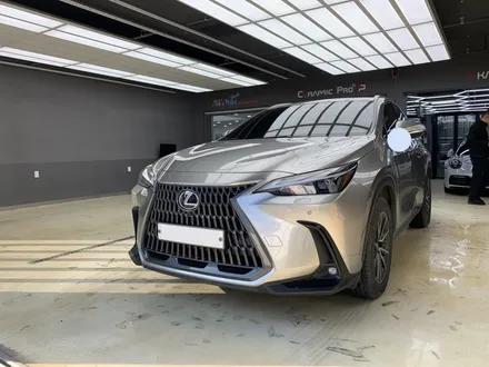 렉서스 NX450 대전 PPF 위해 평택에서 찾아주신 차주분 / 동구 가양동
