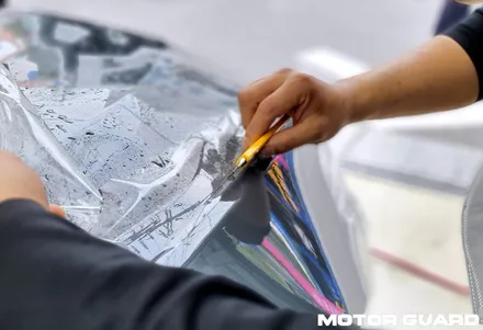 대전 BMW M5 사고 후 손상 된 PPF와 카바차 유광 PPF 재시공 작업! / 동구 가양동