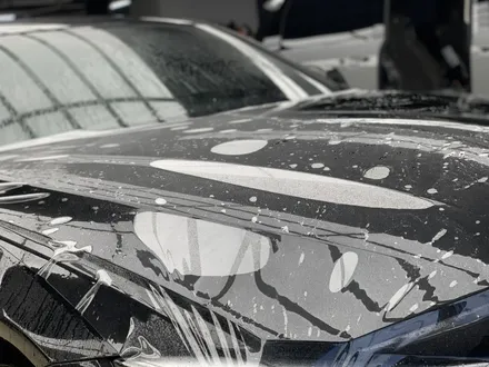 대전 세라믹프로 :: BMW 435d PPF 본닛, 도어컵과 엣지 작업 / 동구 가양동