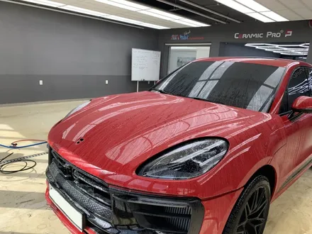 대전 범퍼 본닛 PPF 재시공 Feat. 포르쉐 마칸 GTS / 동구 가양동