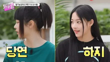 대전 범퍼 본닛 PPF 재시공 Feat. 포르쉐 마칸 GTS / 동구 가양동