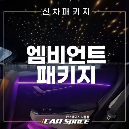 EV6 엠비언트, 천장은하수! 순정연동 시공 시흥장현 신차패키지 / 시흥시 미산동