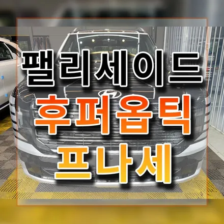 디올뉴 팰리세이드 후퍼옵틱 프나세와 바닥모노륨 시공! 고급진 외관 쾌적한 실내 / 시흥시 미산동