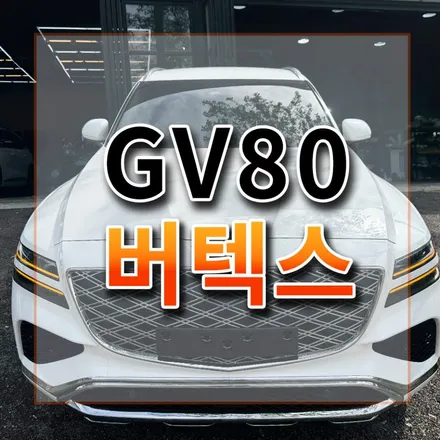 GV80 가장 많이하는 전면30% 측후면15% 국민농도 시공 시인성 확인 / 시흥시 미산동