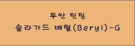 2024년 신형 페리! 전과 달라진게 없다고? 솔직리뷰x솔라가드 베럴-G / 시흥시 미산동