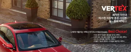 기아 카니발 스노우 화이트 펄 버텍스900 패키지 전면25% PPF7종 / 시흥시 미산동