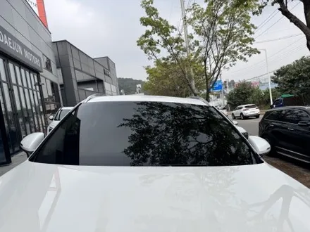 고급스럽고 우아한 반사 프나세 vs 카리스마 블랙틴팅 버텍스900 / 시흥시 미산동