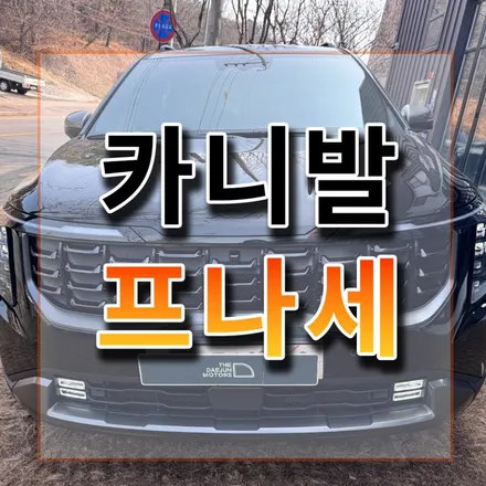 카니발 후퍼옵틱 프나세 전체30% 모노륨바닥매트 도어스커프 / 시흥시 미산동