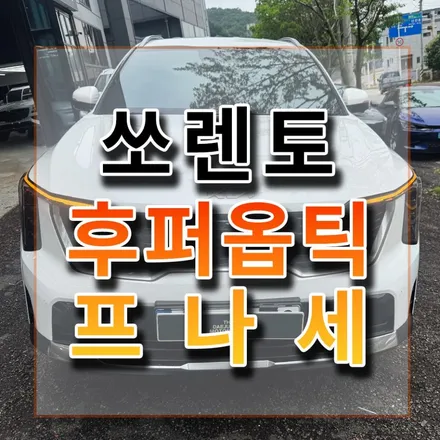 반사vs비반사 끝없는고민..결국 후퍼옵틱 프나세네요. / 시흥시 미산동
