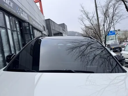조금씩 다른 프나세 버텍스 브이쿨 레인보우 몽땅 비교해봤어요 / 시흥시 미산동