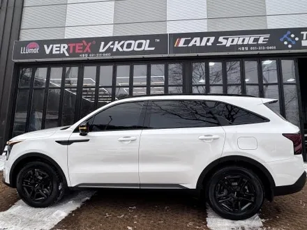 조금씩 다른 프나세 버텍스 브이쿨 레인보우 몽땅 비교해봤어요 / 시흥시 미산동