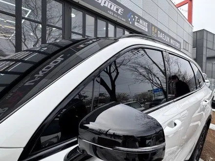 조금씩 다른 프나세 버텍스 브이쿨 레인보우 몽땅 비교해봤어요 / 시흥시 미산동