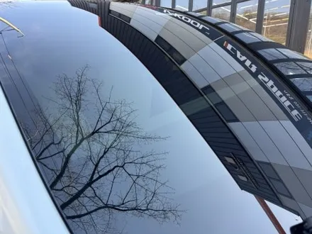 테슬라 모델Y 전면철벽방어!! 프론트PPF패키지 버텍스900 국민농도 30% 15% / 시흥시 미산동