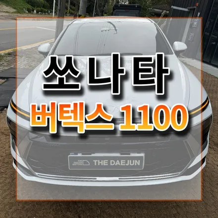 버텍스 최상위 필름 1100은 900과 뭐가 다를까요?.. / 시흥시 미산동