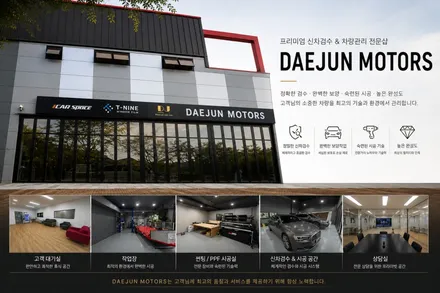 현대 팰리세이드 로버스트 에메랄드 펄에 버텍스1100+900 극강의 조합 최고의 시인성 프라이버시보호 국민농도 / 시흥시 미산동
