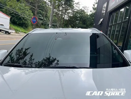 신형 팰리세이드 조회수 폭발한 이유가 그것때문 ? / 시흥시 미산동