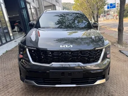 조금씩 다른 프나세 버텍스 브이쿨 레인보우 몽땅 비교해봤어요 / 시흥시 미산동