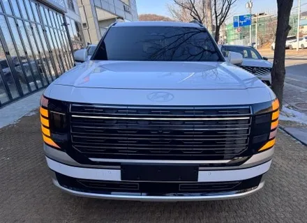 디 올 뉴 팰리세이드 LX3  버텍스1100 아깝지 않네요~굿! / 시흥시 미산동