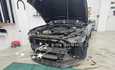 포드 머스탱 바이퍼라인,데칼 /  퍼디 작업 후 부분랩핑 인천 제이파워 개러지 / 인천 논현동