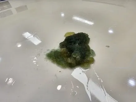인천 남동구 아반떼 AD 오래된 루프스킨 제거 잘 하는 곳.! / 인천 논현동