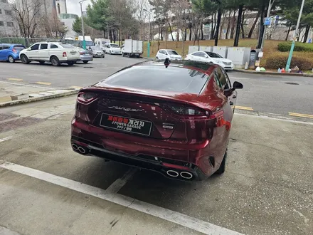 기아 스팅어 고광택 전체랩핑 강렬한 뱀파이어 레드 / 인천 논현동