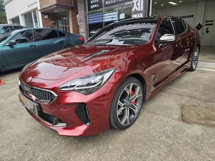 기아 스팅어 고광택 전체랩핑 강렬한 뱀파이어 레드 / 인천 논현동
