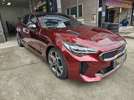 기아 스팅어 고광택 전체랩핑 강렬한 뱀파이어 레드 / 인천 논현동