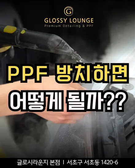 방배동 PPF 2년 사용 후 제거 결과 공개, 재시공까지 한 이유 / 서울 서초