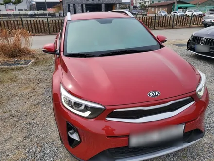 청주썬팅 애니가 드 ap80r 스토닉 재시공 / 청주, 세종, 천안
