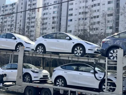 광주 첨단 신차패키지 전문점 테슬라 모델 Y 깔끔한 작업 받으세요
