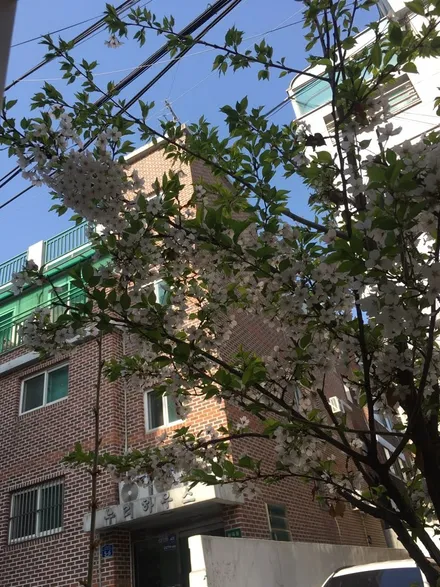 김포타이어싼곳 추천 스포티지r 18인치 금호타이어가격 목동 강서구 양천구 신월동 타이어 / 서울 강서구 화곡동