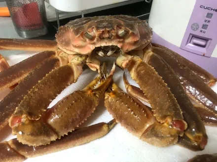 제네시스 g80 19인치 타이어교체 강서구 가양동 마제스티9솔루스 275 35 19 / 서울 강서구 화곡동