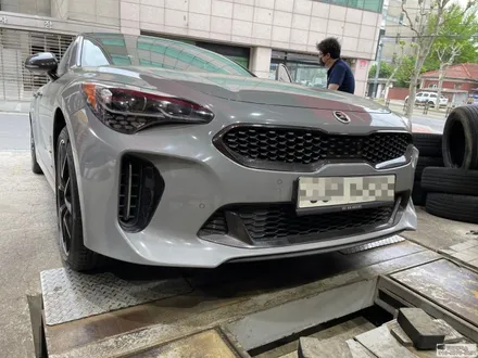 스팅어 타이어는 그립력이 우수한 피렐리 타이어가 최고 / 서울 강서구 화곡동