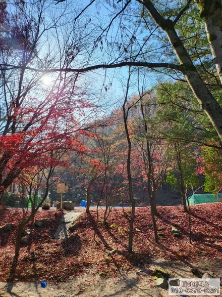 디스커버리 스포츠 피렐리 타이어  235 60 18 저렴하게 장착하다 / 서울 강서구 화곡동