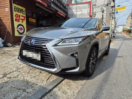 렉서스RX450h 사계절 수명이 우수한 피렐리 타이어 제품은? / 서울 강서구 화곡동