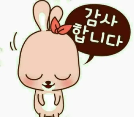 부산 썬팅 인피니티G37 레이노썬팅 PPF / 부산,해운대구