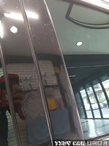 부산 랩핑 레이노 해운대 타이디카 PPF / 부산,해운대구