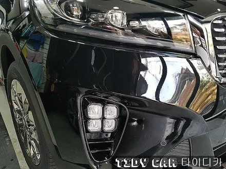 부산신차검수 올뉴쏘렌토 PPF 타이디카 레이노크로마 / 부산,해운대구
