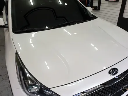 부산PPF 해운대PPF 타이디카 레이노썬팅 신차검수 니로 올뉴쏘렌토 BMW 벤츠 PPF 생활보호 / 부산,해운대구