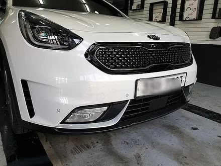 부산PPF 해운대PPF 타이디카 레이노썬팅 신차검수 니로 올뉴쏘렌토 BMW 벤츠 PPF 생활보호 / 부산,해운대구