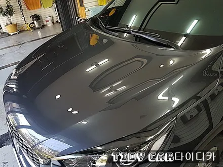 부산PPF 해운대PPF PPF전체 본네트PPF 타이디카 생활보호PPF 부산PPF잘하는곳 / 부산,해운대구