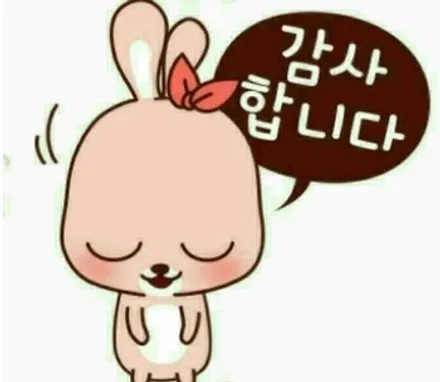 부산PPF 해운대PPF 타이디카 해운대 레이노썬팅 본네트PPF 전체PPF 실내랩핑 / 부산,해운대구